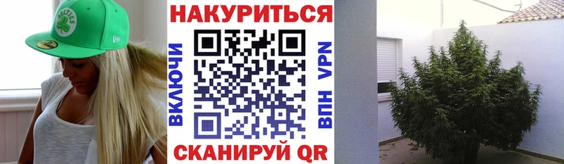Марихуана конопля Сольцы